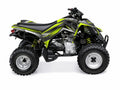 Kit de gráficas para ATV Can-Am DS 250 - Diseño 04 Toxic Pulse - LedPro Racing
