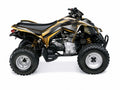 Kit de gráficas para ATV Can-Am DS 250 - Diseño 09 Gold Apex - LedPro Racing