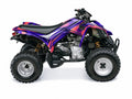 Kit de gráficas para ATV Can-Am DS 250 - Diseño 15 Ultraviolet - LedPro Racing