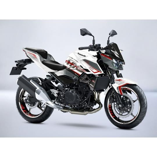 Kit de Gráficas para Moto Naked Kawasaki Z500 - Diseño 31 - LedPro Racing