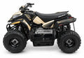 Kit de gráficas para ATV Polaris Outlaw - Diseño 09 Gold Apex - LedPro Racing